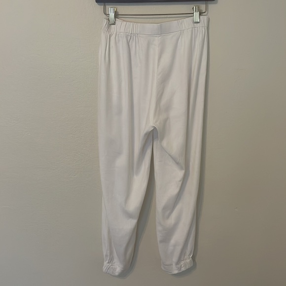 Bream Cotton Linen pants - Babaton/ARITZIA - Picture 4 of 4